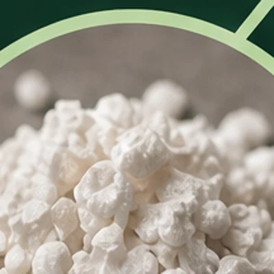 Thymoquinone (TQ)