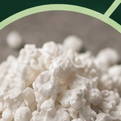 Zinc · 15 mg