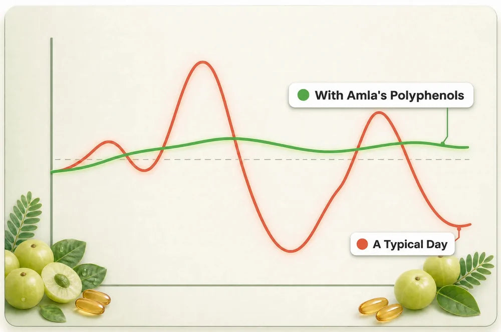 Energy curve through the day